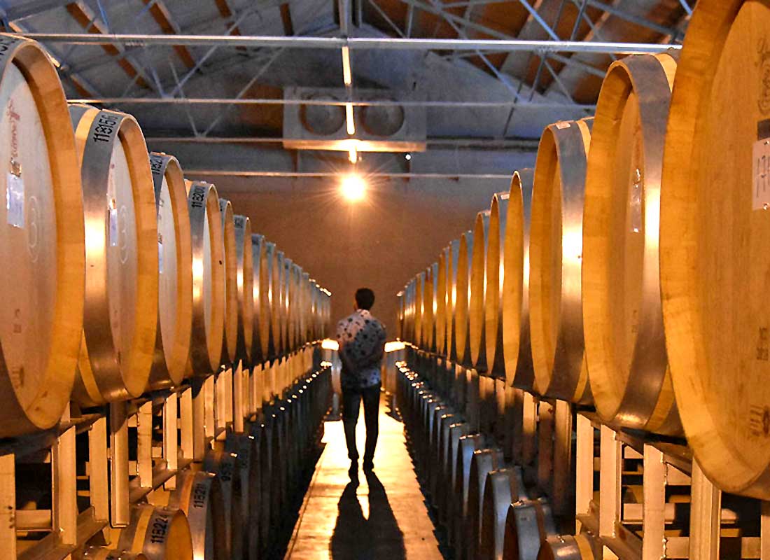 Barrel Room at Terrazas de los Andes