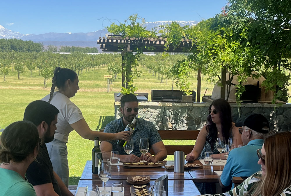Small-group tour in Luján de Cuyo,