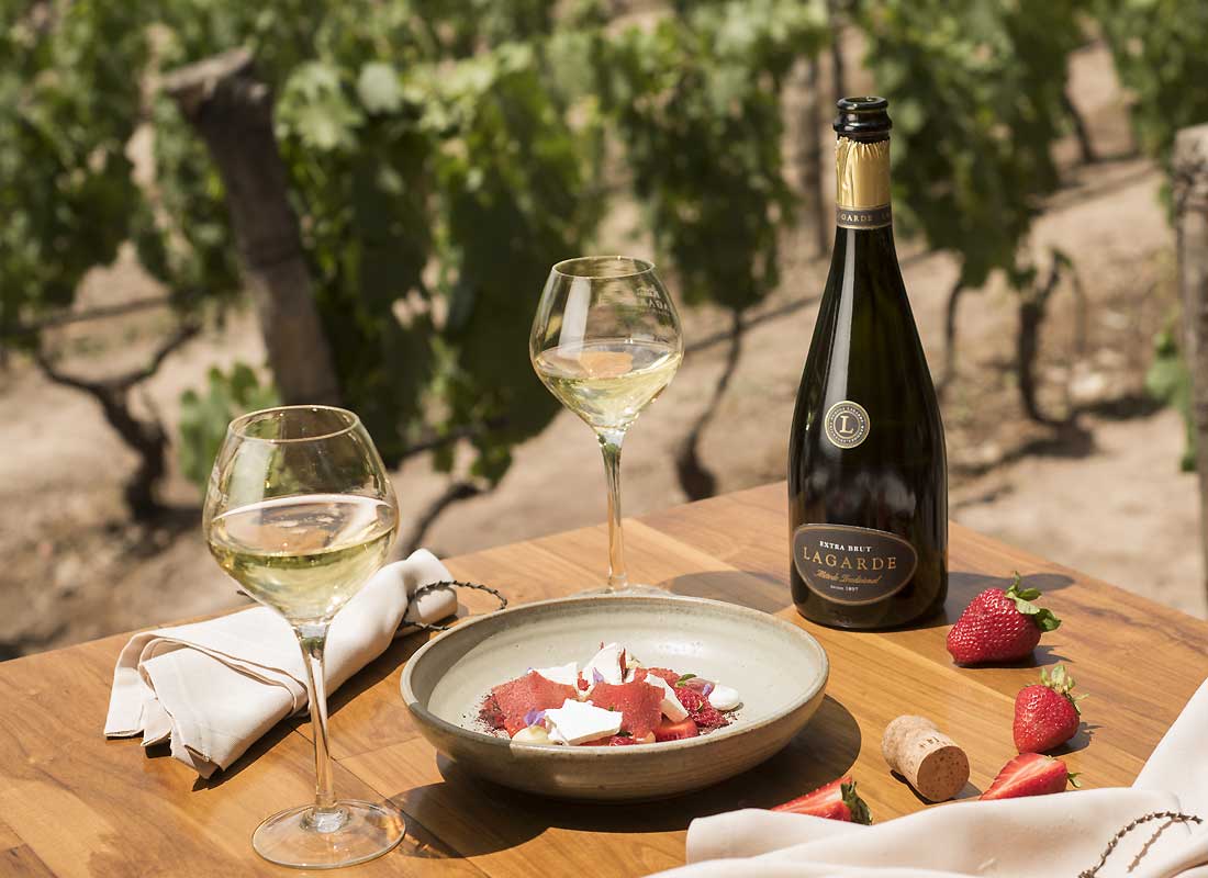 Bubbly Full Day Tour - Wine pairing lunch at lagarde