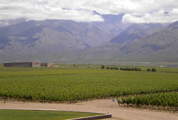 Uco Valley wine region