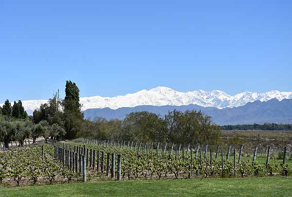 Uco Valley wine region