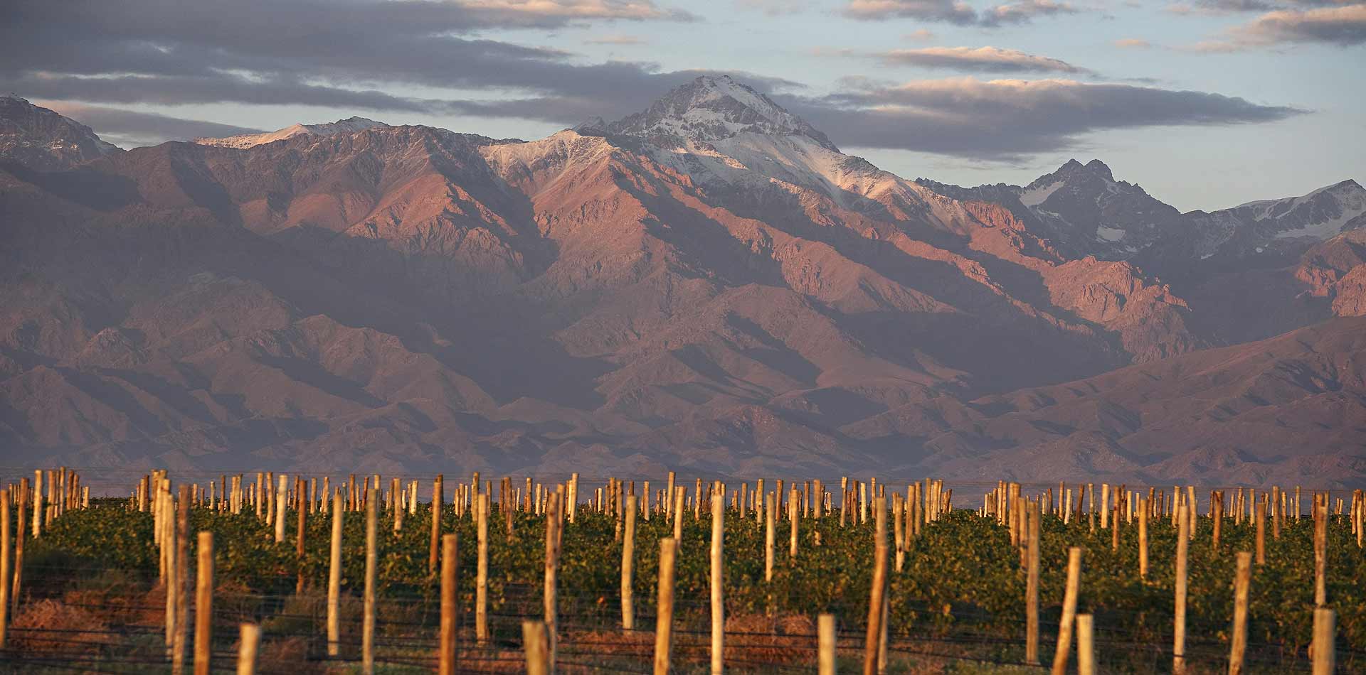 Mendoza Wine Tours Ampora Wine Tours Mendoza