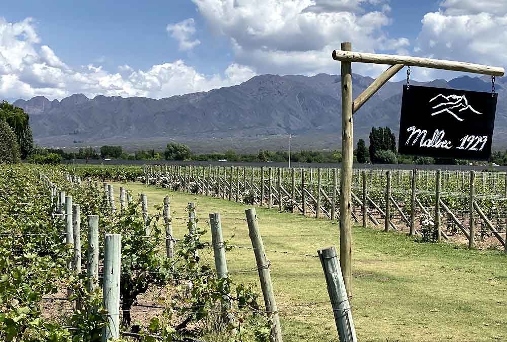 Private experience focused on Malbec