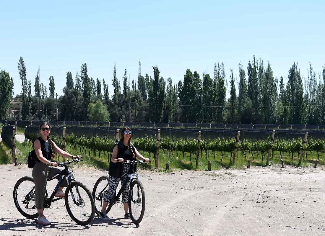 Enjoy a leisurely bike ride within a vineyard