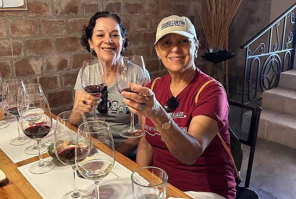 Savor delicious wines in the comfort of a private tour in Luján de Cuyo