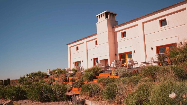 Claroscuro Winery, where art meets wine.