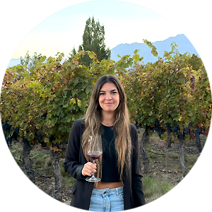 Ampora Wine Tours Staff - Sales Assistant