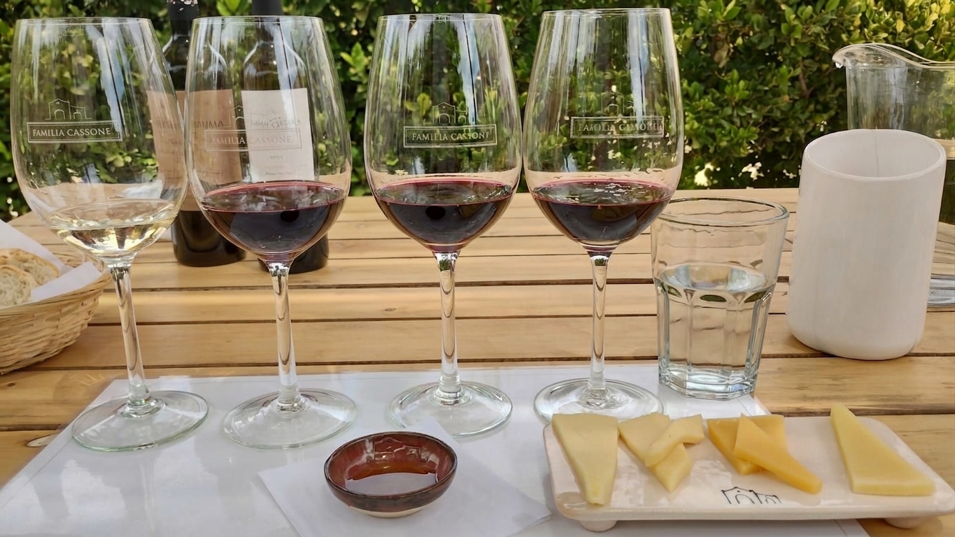 Mendoza wine with a cheese and charcuterie board